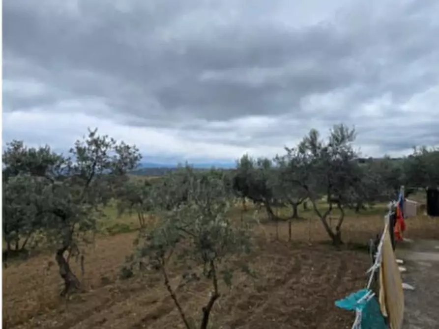 Immagine 8 di Casa indipendente in vendita  in Strada Provinciale a San Giovanni In Galdo