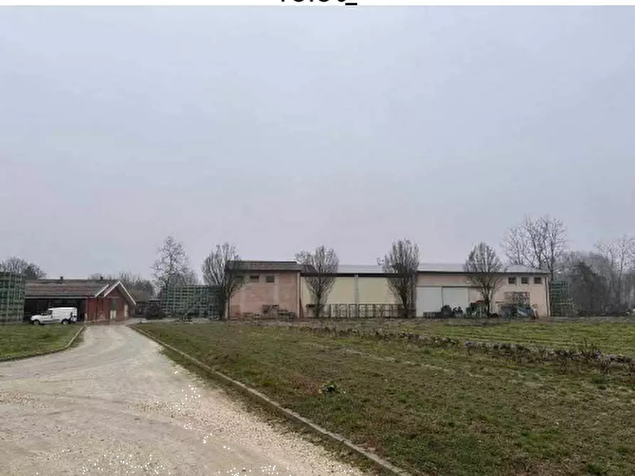 Immagine 7 di Terreno agricolo in vendita  in Via San Martino a Morgano