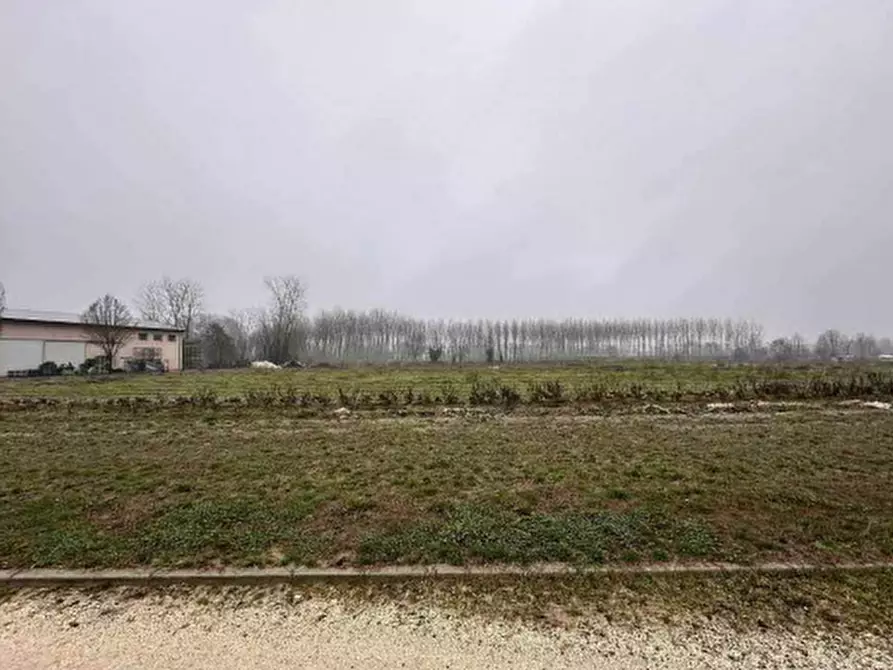 Immagine 8 di Terreno agricolo in vendita  in Via San Martino a Morgano