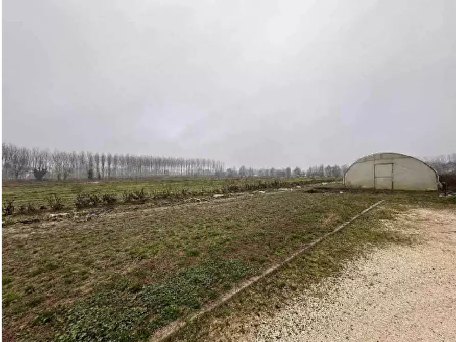 Immagine 9 di Terreno agricolo in vendita  in Via San Martino a Morgano