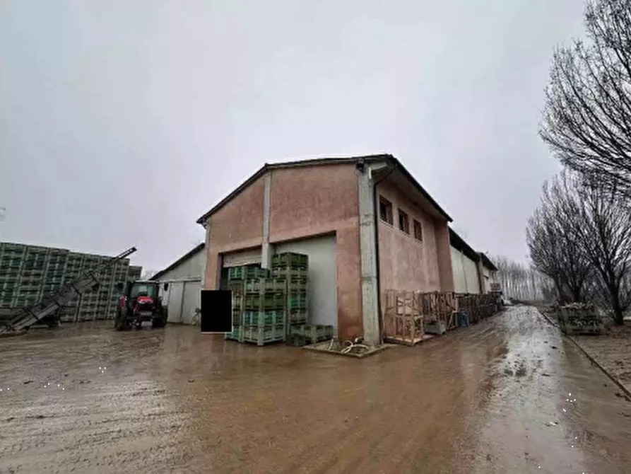 Immagine 12 di Terreno agricolo in vendita  in Via San Martino a Morgano