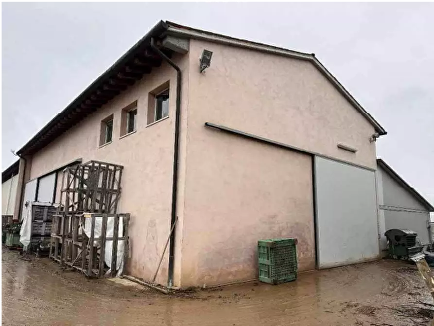 Immagine 13 di Terreno agricolo in vendita  in Via San Martino a Morgano