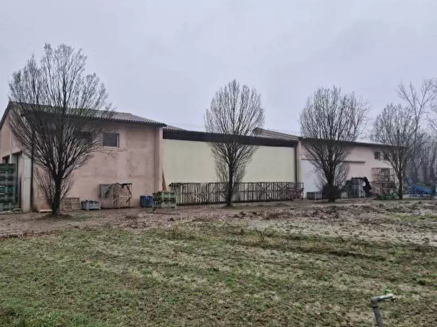Immagine 14 di Terreno agricolo in vendita  in Via San Martino a Morgano