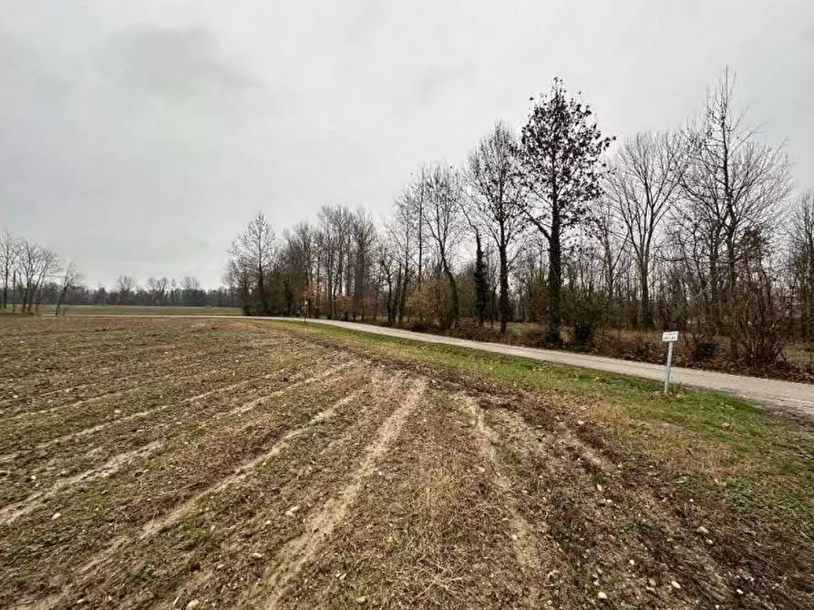 Immagine 2 di Terreno agricolo in vendita  in Via Pescatori a Morgano