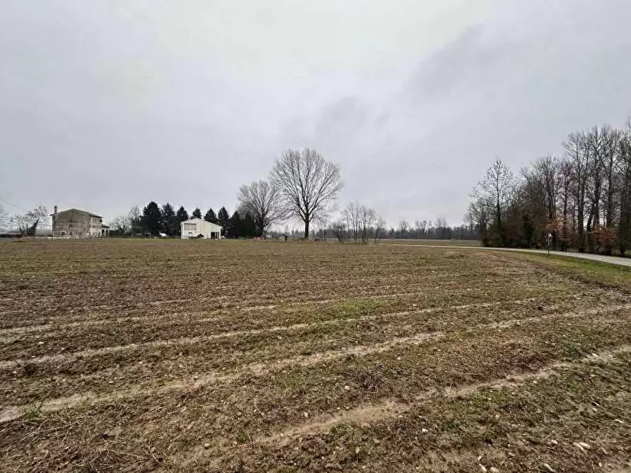 Immagine 3 di Terreno agricolo in vendita  in Via Pescatori a Morgano