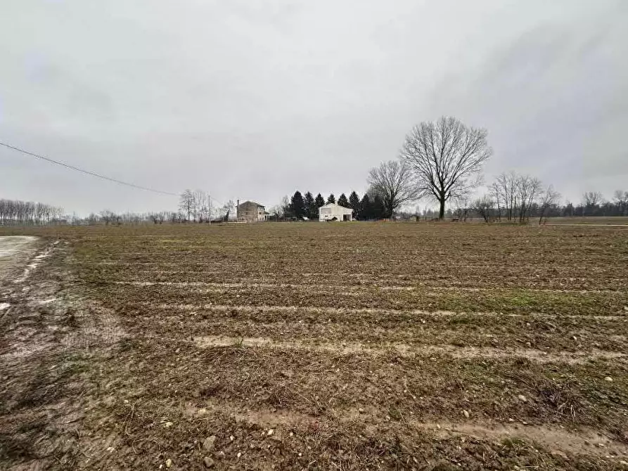 Immagine 4 di Terreno agricolo in vendita  in Via Pescatori a Morgano