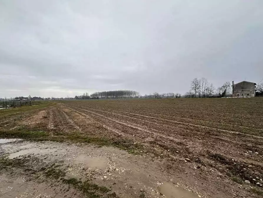 Immagine 5 di Terreno agricolo in vendita  in Via Pescatori a Morgano