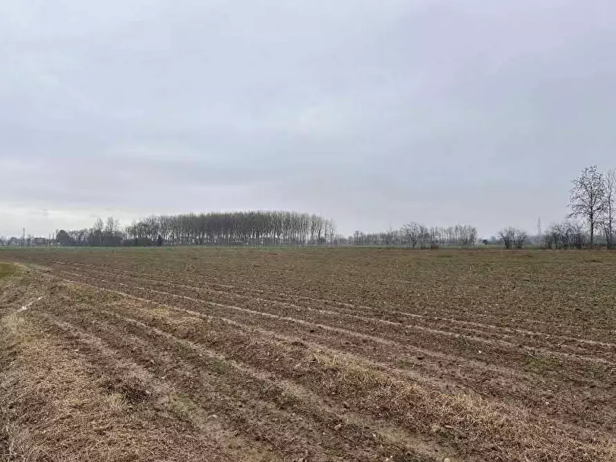 Immagine 6 di Terreno agricolo in vendita  in Via Pescatori a Morgano