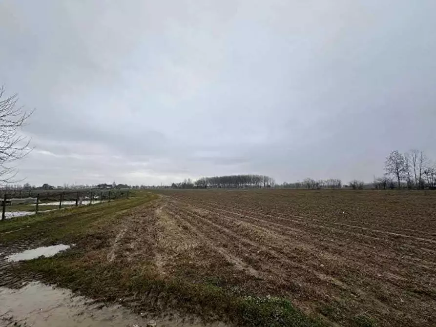 Immagine 7 di Terreno agricolo in vendita  in Via Pescatori a Morgano