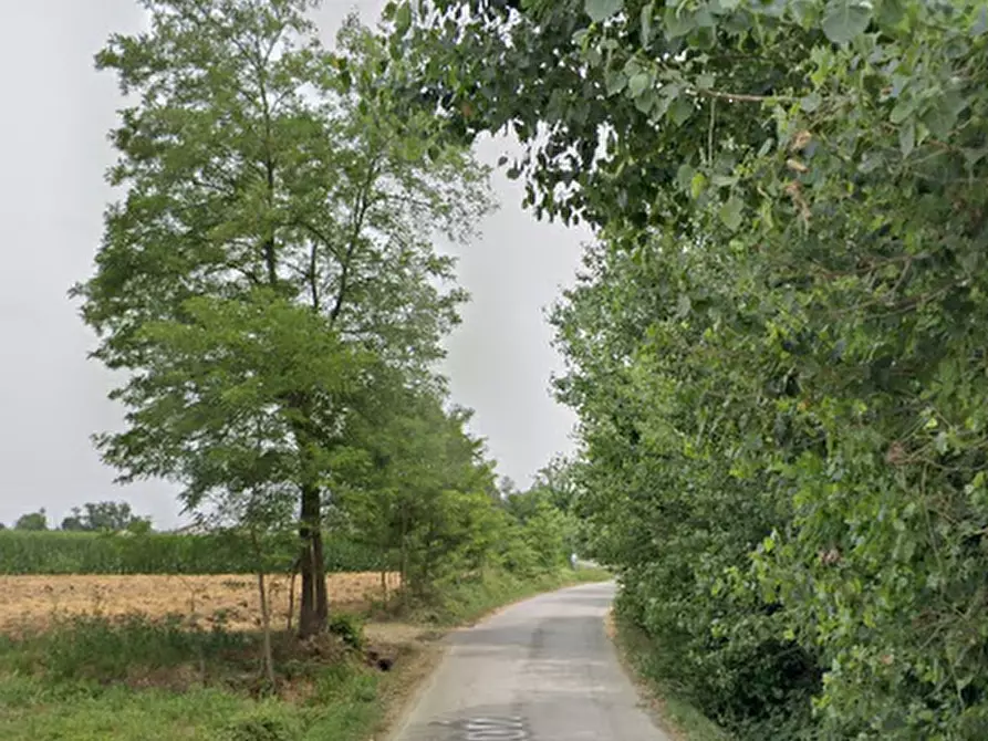 Immagine 8 di Terreno agricolo in vendita  in Via Pescatori a Morgano