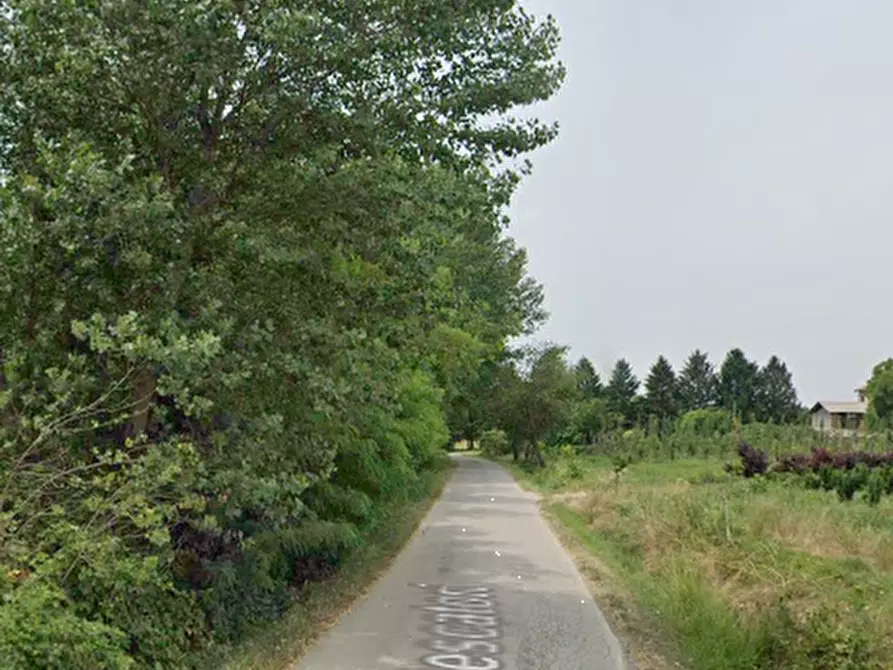 Immagine 9 di Terreno agricolo in vendita  in Via Pescatori a Morgano