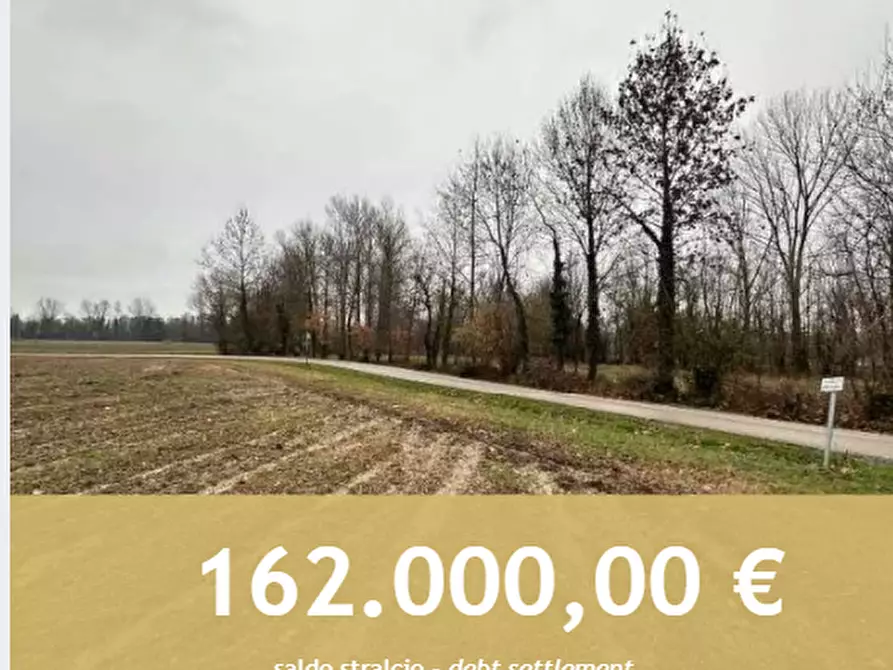 Immagine 1 di Terreno agricolo in vendita  in Via Pescatori a Morgano