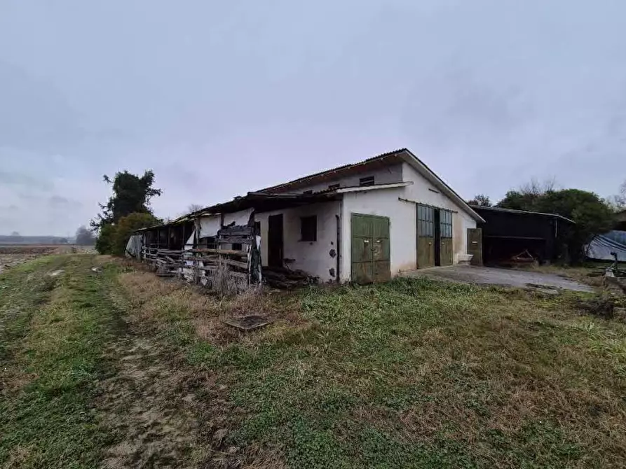 Immagine 5 di Magazzino in vendita  in Via Onaro a Zero Branco