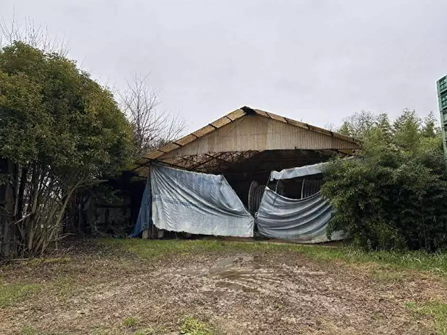 Immagine 10 di Magazzino in vendita  in Via Onaro a Zero Branco