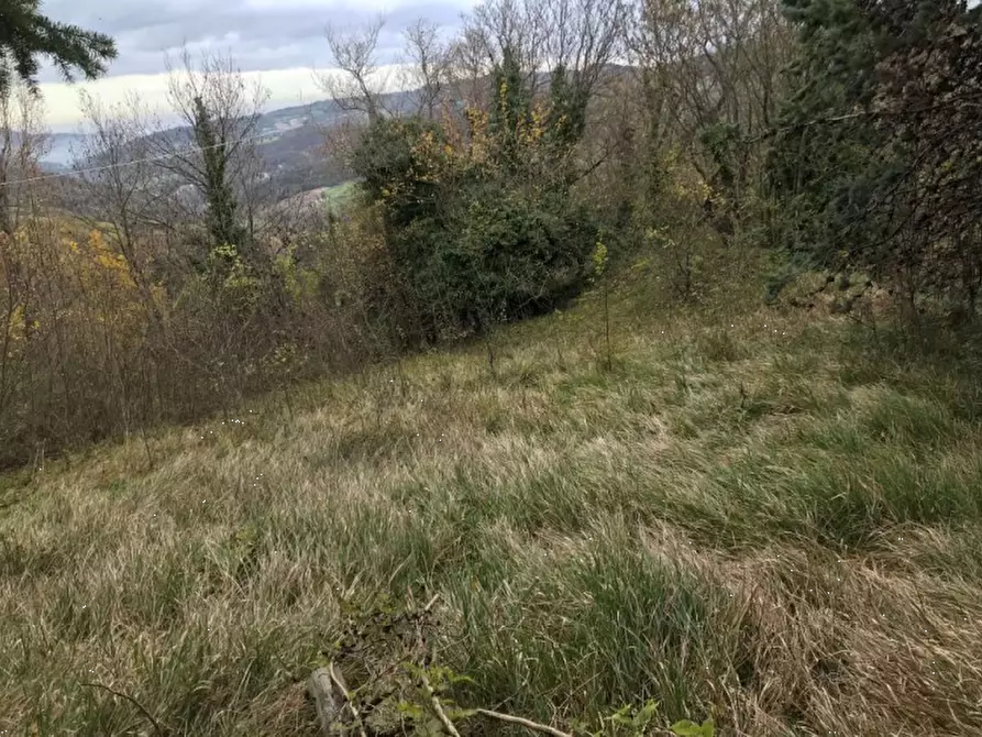 Immagine 8 di Villa in vendita  in  località La Serra a Monzuno