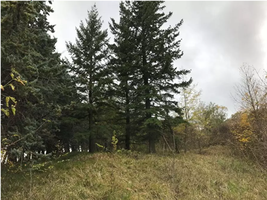 Immagine 9 di Villa in vendita  in  località La Serra a Monzuno