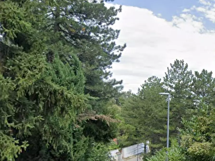 Immagine 8 di Terreno agricolo in vendita  in Via dell’Alva a Monzuno