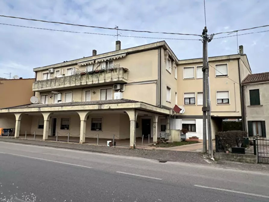 Immagine 3 di Appartamento in vendita  in Via Mazzini a Tribano