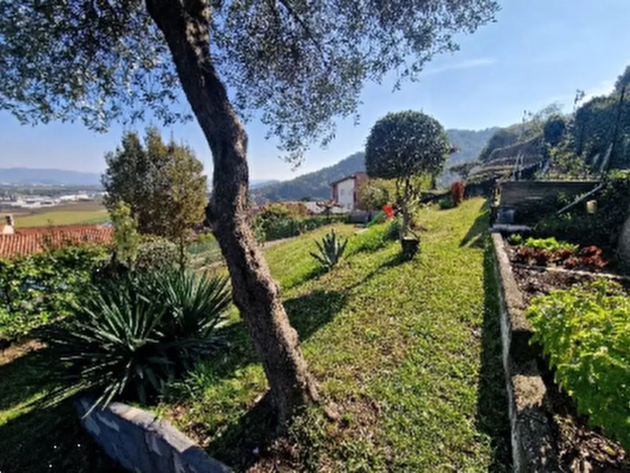 Immagine 4 di Terreno agricolo in vendita  in Via Tovi a Montorso Vicentino