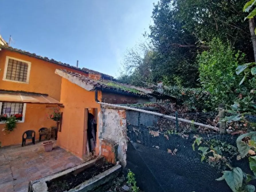 Immagine 6 di Terreno agricolo in vendita  in Via Tovi a Montorso Vicentino