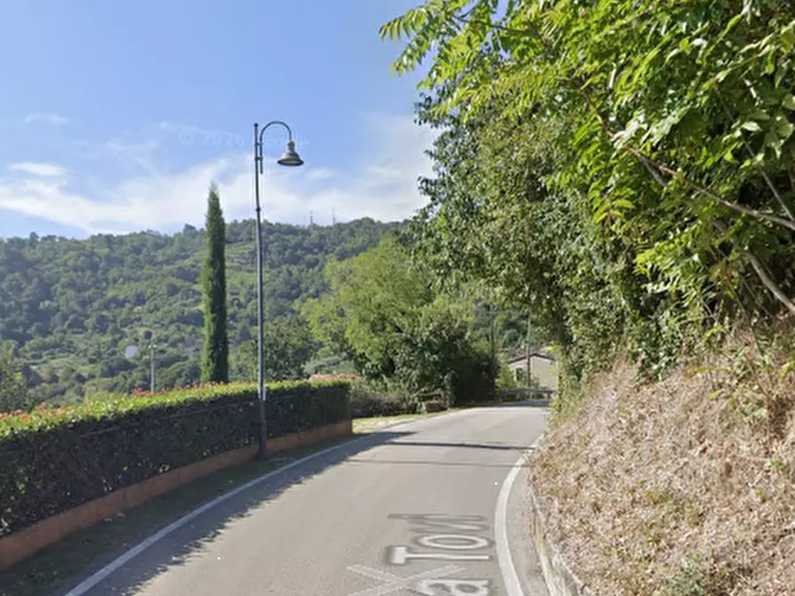 Immagine 7 di Terreno agricolo in vendita  in Via Tovi a Montorso Vicentino