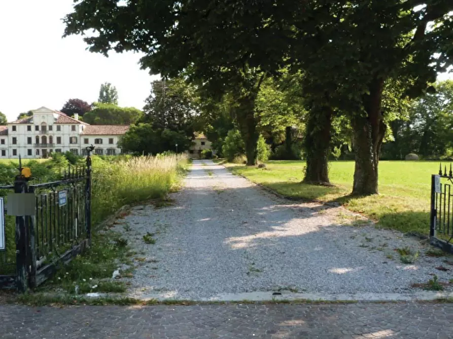 Immagine 3 di Villa in vendita  in Via Roma a Codognè