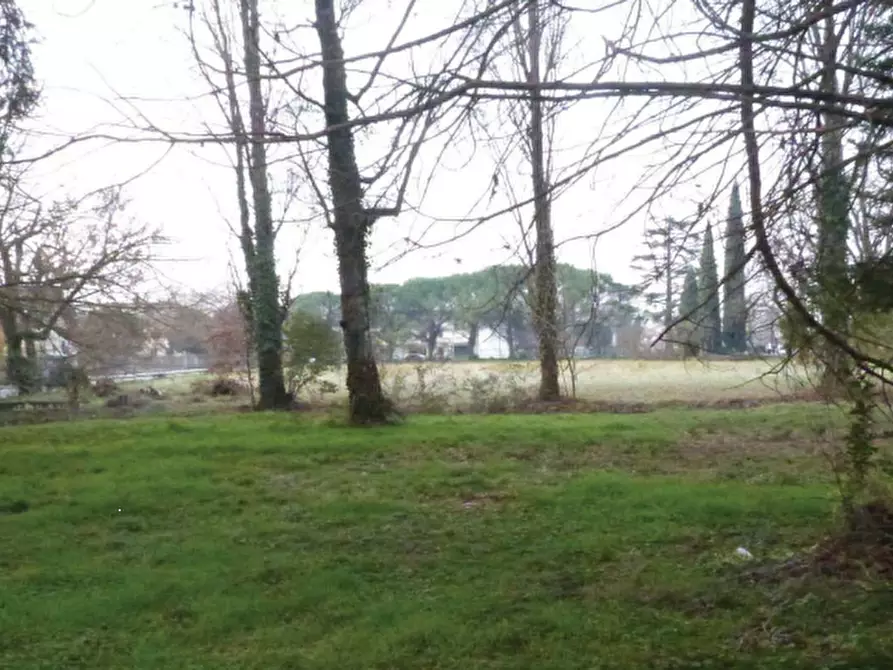 Immagine 16 di Villa in vendita  in Via Roma a Codognè