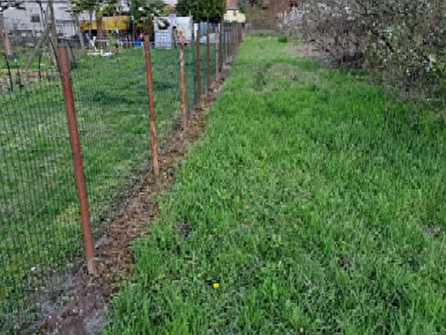 Immagine 2 di Terreno agricolo in vendita  in Via J. F. Kennedy a Riese Pio x