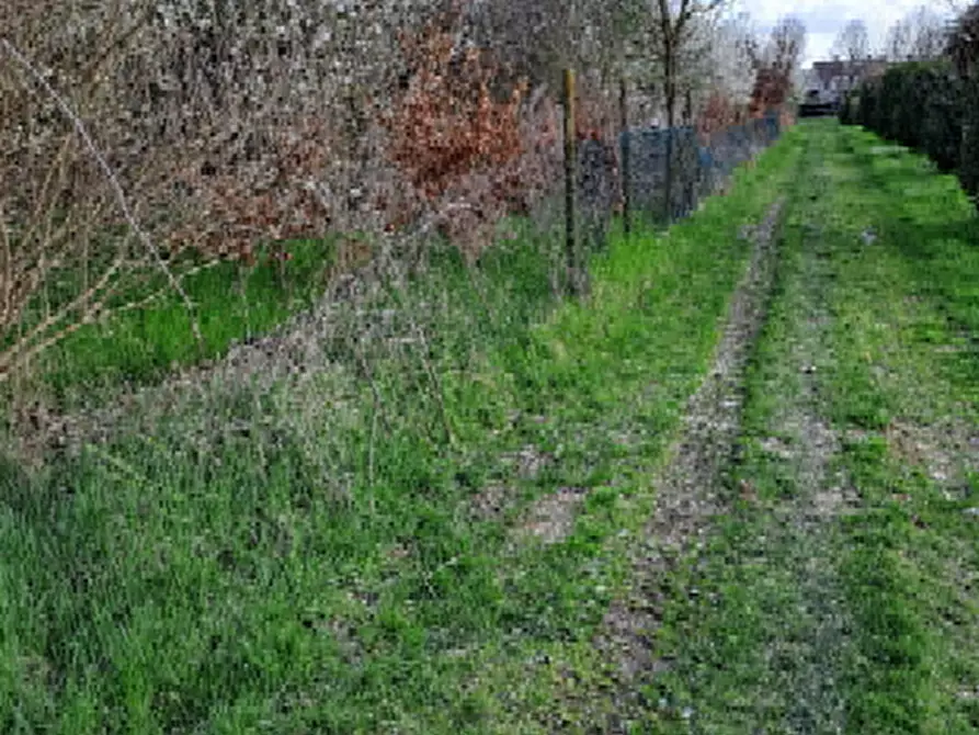Immagine 3 di Terreno agricolo in vendita  in Via J. F. Kennedy a Riese Pio x