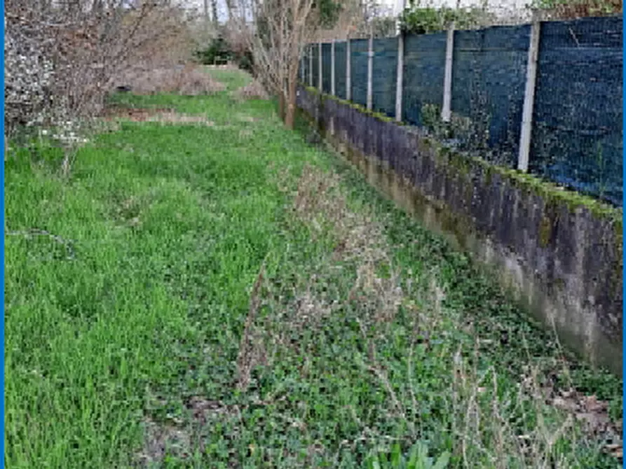 Immagine 4 di Terreno agricolo in vendita  in Via J. F. Kennedy a Riese Pio x