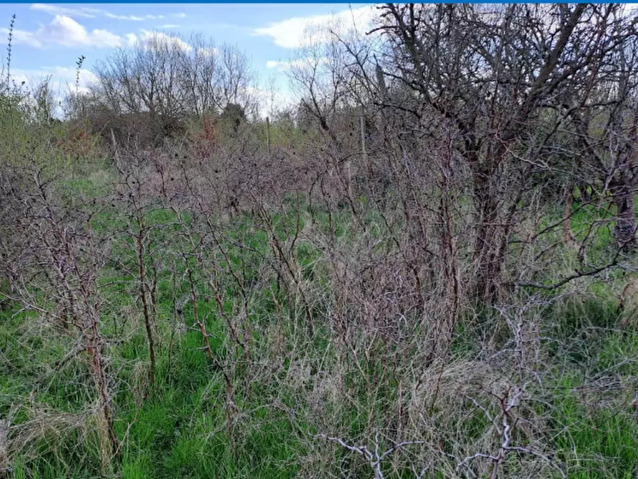 Immagine 5 di Terreno agricolo in vendita  in Via J. F. Kennedy a Riese Pio x