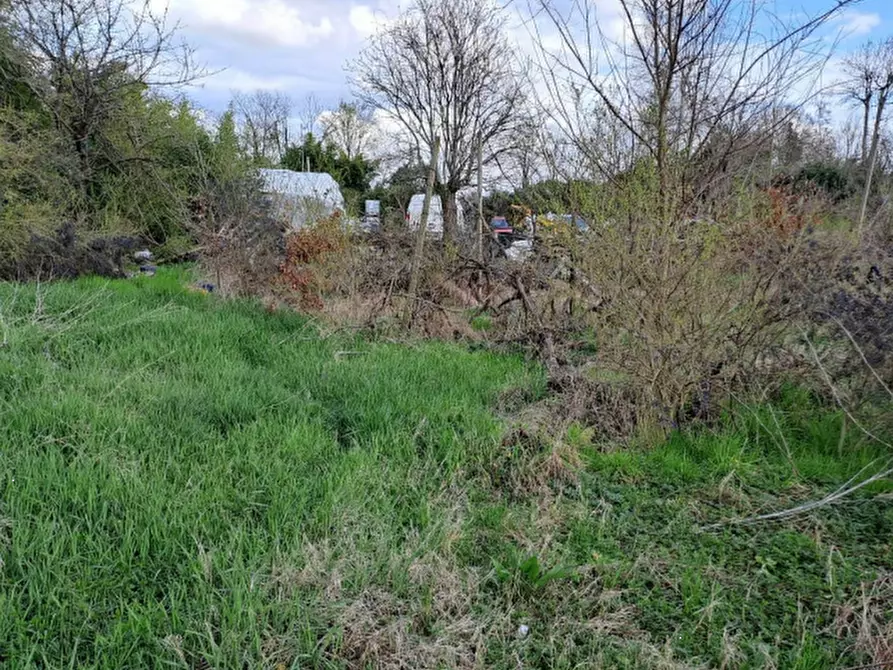 Immagine 6 di Terreno agricolo in vendita  in Via J. F. Kennedy a Riese Pio x