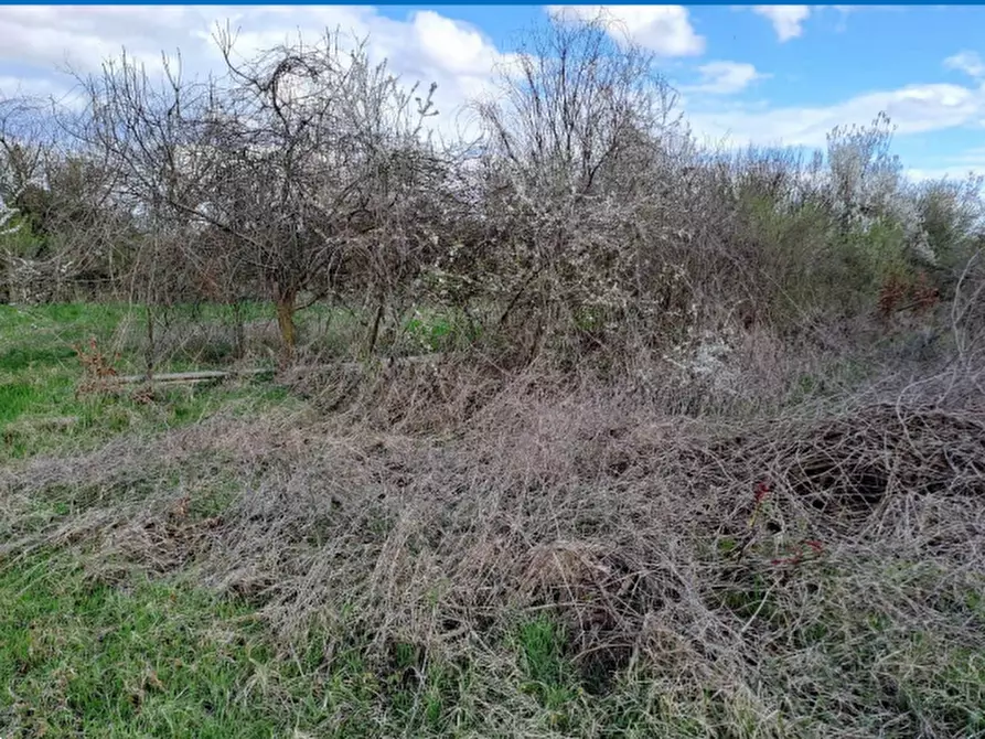 Immagine 7 di Terreno agricolo in vendita  in Via J. F. Kennedy a Riese Pio x