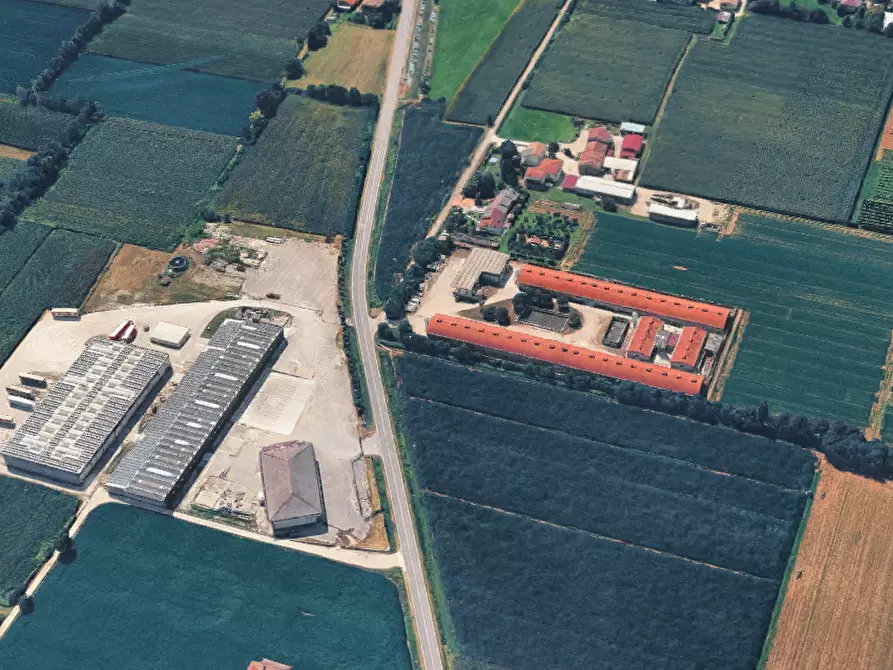 Immagine 10 di Terreno agricolo in vendita  in Via J. F. Kennedy a Riese Pio x