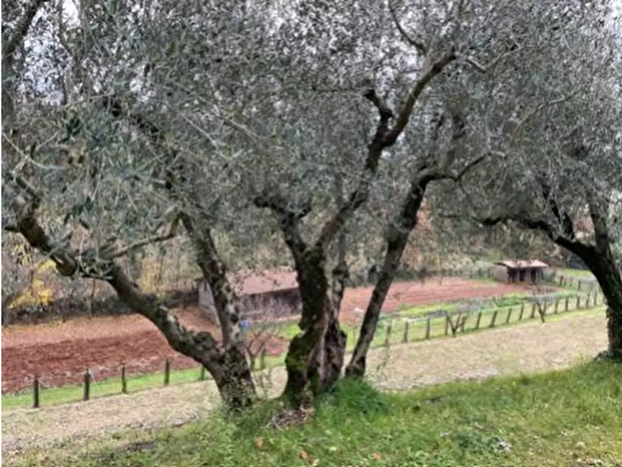 Immagine 9 di Villa in vendita  in Via Gervasi a Villaga