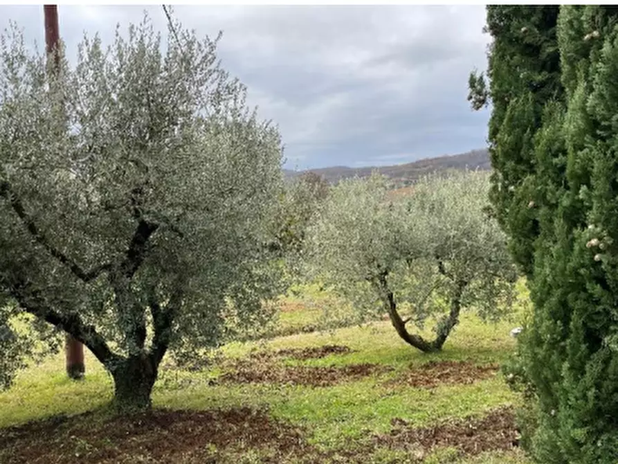 Immagine 10 di Villa in vendita  in Via Gervasi a Villaga