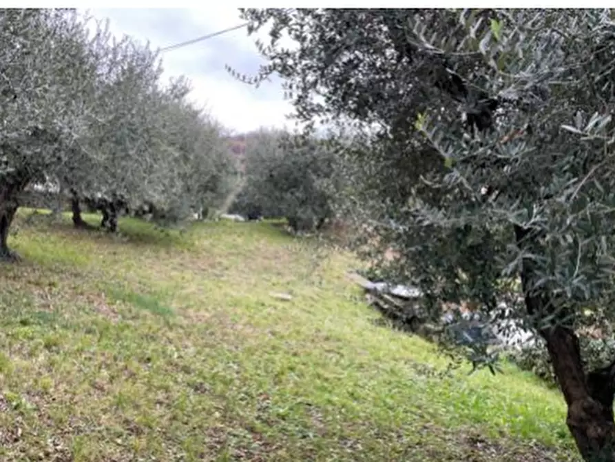 Immagine 13 di Villa in vendita  in Via Gervasi a Villaga