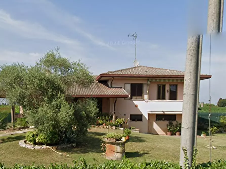 Immagine 3 di Villa in vendita  in via F. Petrarca  a Polverara
