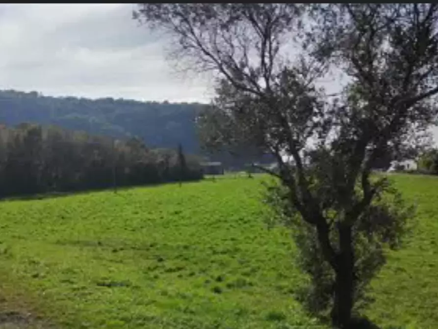 Immagine 2 di Terreno agricolo in vendita  in Via Pianeta  a Trissino