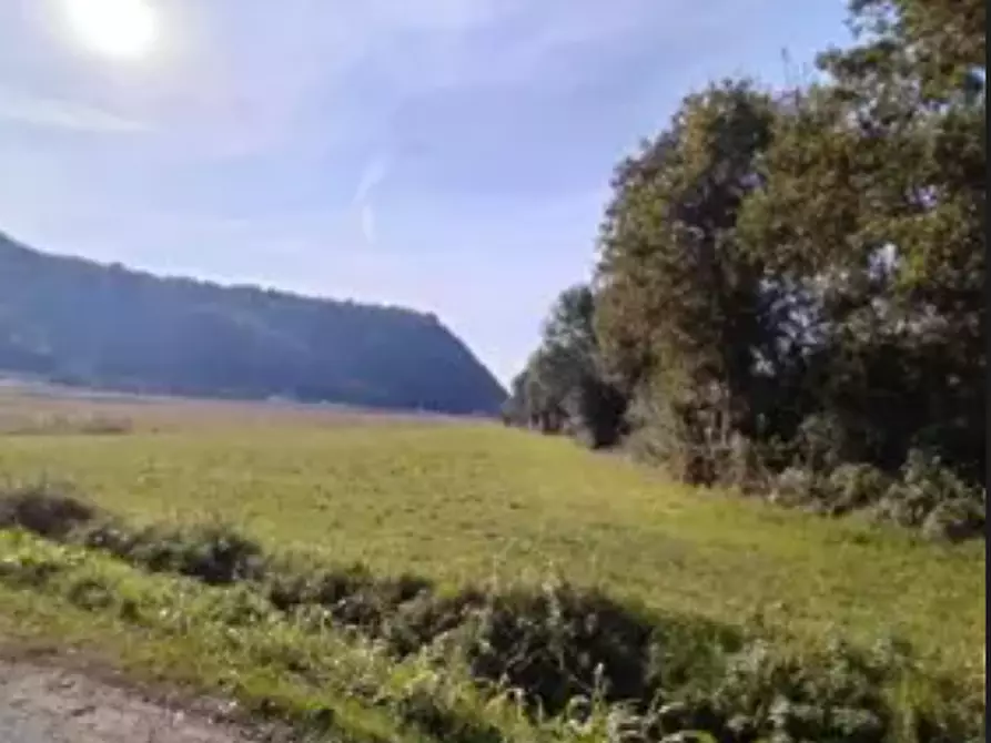 Immagine 3 di Terreno agricolo in vendita  in Via Pianeta  a Trissino