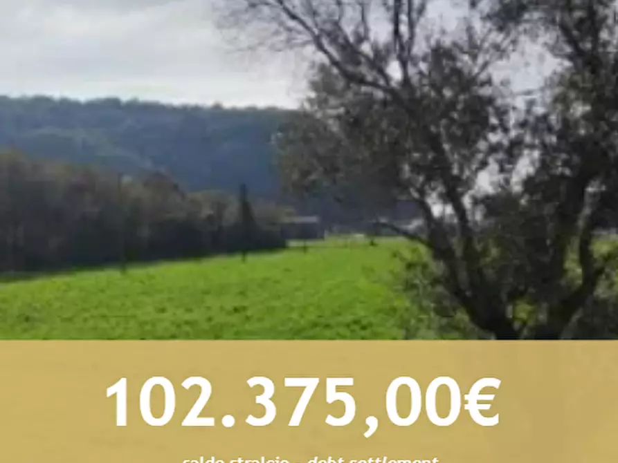 Immagine 1 di Terreno agricolo in vendita  in Via Pianeta  a Trissino