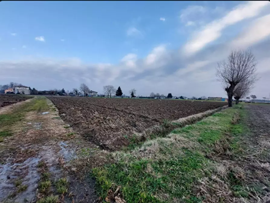Immagine 2 di Terreno agricolo in vendita  in Via Nogarola a Castelfranco Veneto