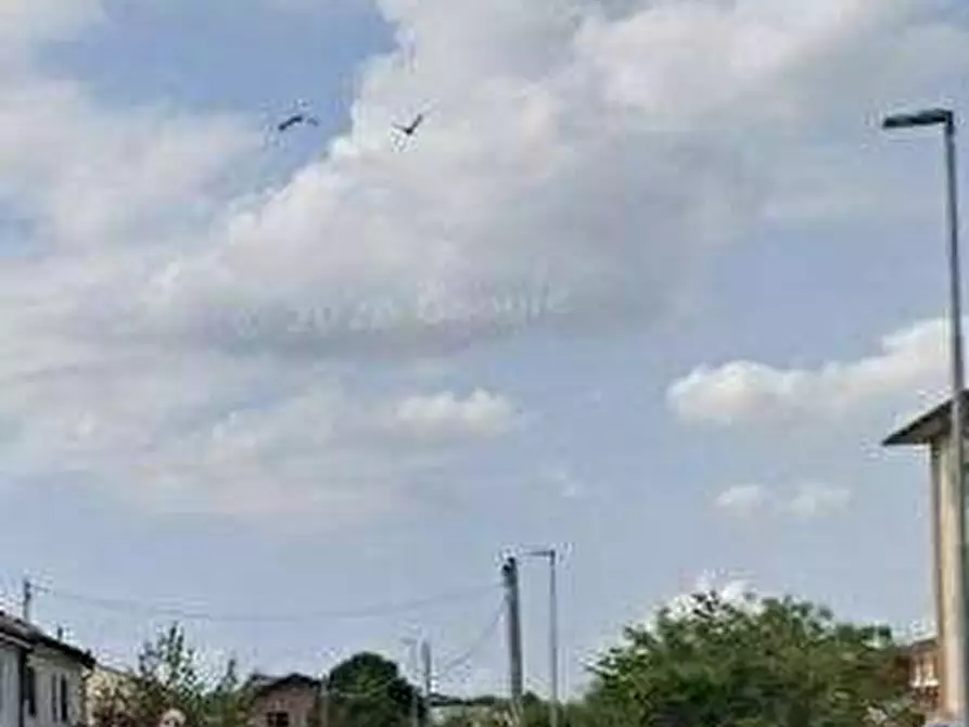 Immagine 9 di Appartamento in vendita  in Via Dalcerri Tosi a San Colombano Al Lambro