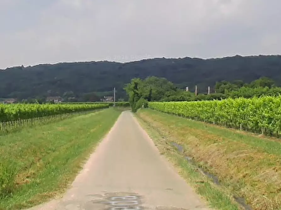 Immagine 7 di Appartamento in vendita  in Via Spineda a Volpago Del Montello