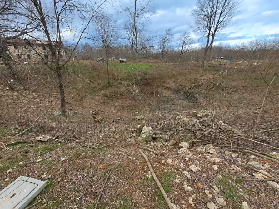 Immagine 2 di Terreno agricolo in vendita  in Via XVIII Giugno  a Crocetta Del Montello