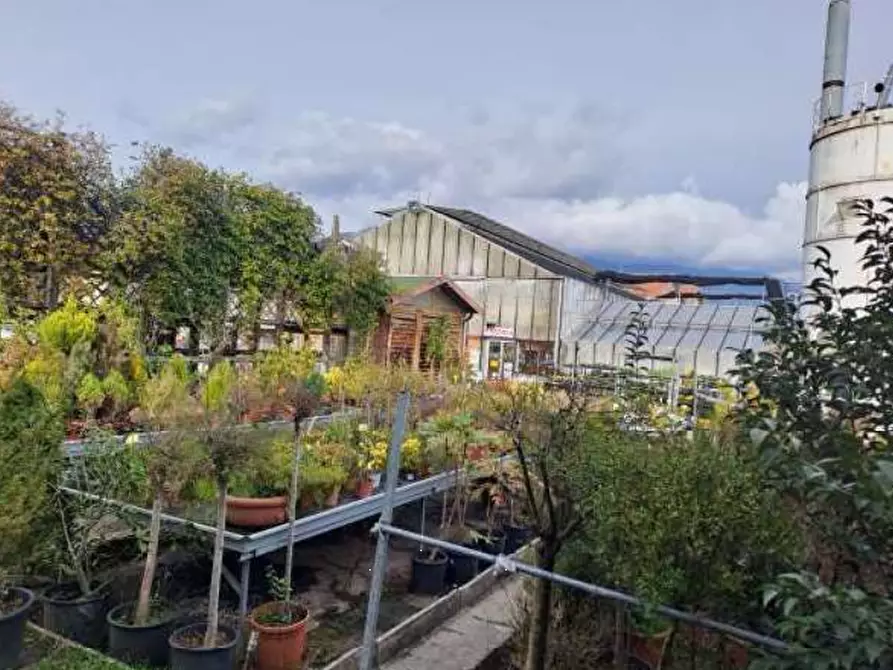 Immagine 3 di Magazzino in vendita  in Via Cinzio Cenedese a Vittorio Veneto