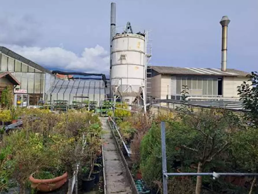 Immagine 4 di Magazzino in vendita  in Via Cinzio Cenedese a Vittorio Veneto