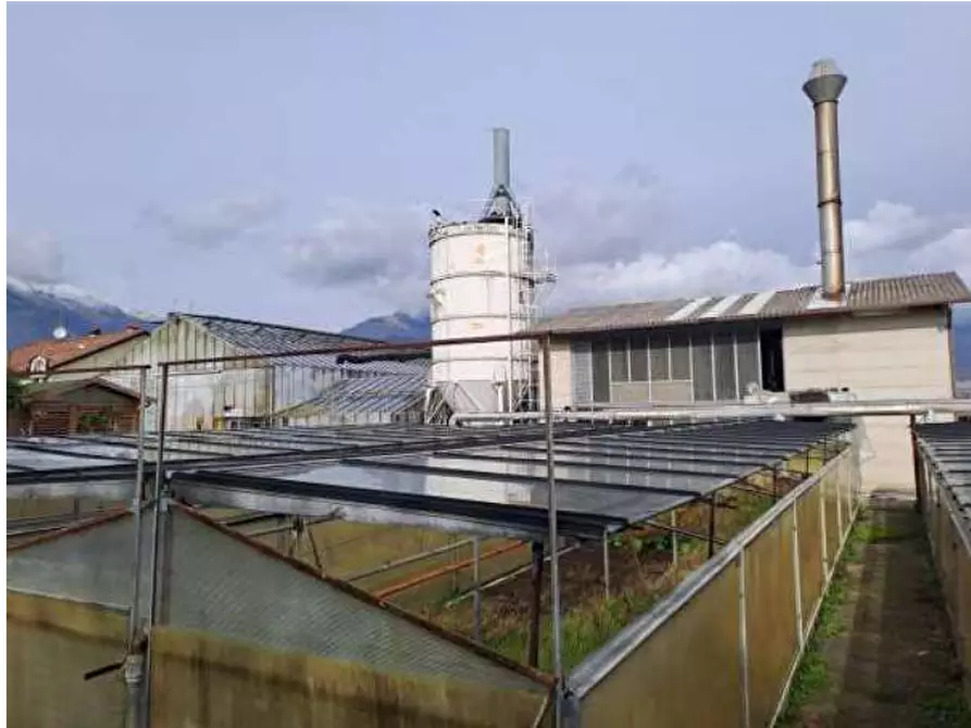 Immagine 5 di Magazzino in vendita  in Via Cinzio Cenedese a Vittorio Veneto