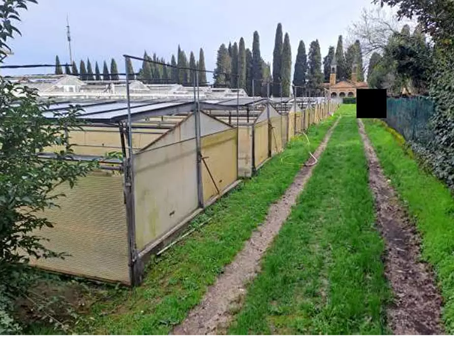 Immagine 6 di Magazzino in vendita  in Via Cinzio Cenedese a Vittorio Veneto