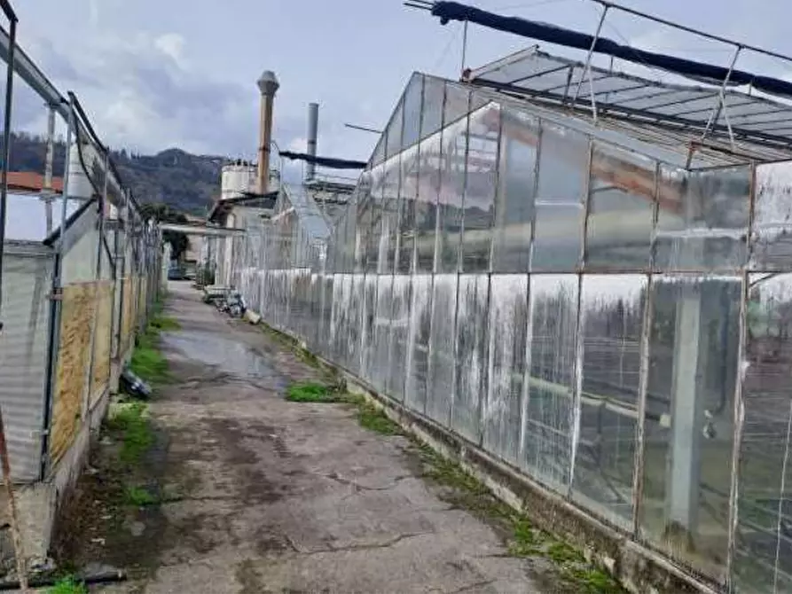 Immagine 9 di Magazzino in vendita  in Via Cinzio Cenedese a Vittorio Veneto
